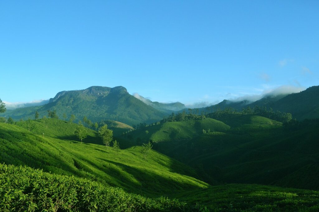 Paradise of Kerala is the most beautiful scenic city in India