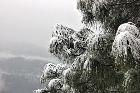 Shimla remains the capital city of Himachal Pradesh and boasts of colonial aura.