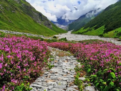 The flower valley is located in Uttarakhand only and is accessible only during the summer and the monsoon periods.